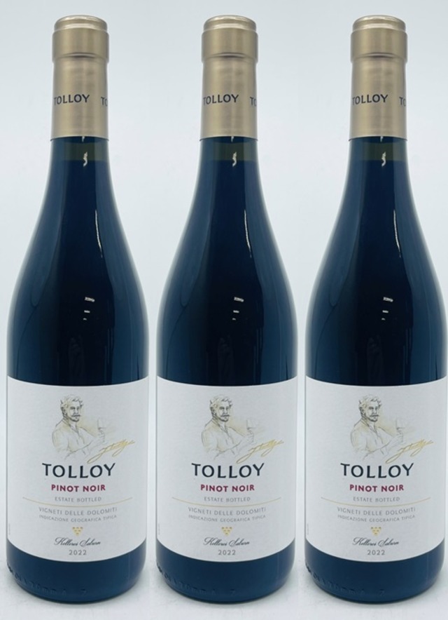 【3本】トロイ　ピノ・ノワール　 イタリア　Tolloy Pinot Noir　赤ワイン　3本　750ml　 グルッポ・メッツァコロナ