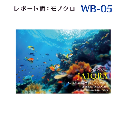 QSLカード　デザイナーズカード　WB05　レポート面あり　100枚～