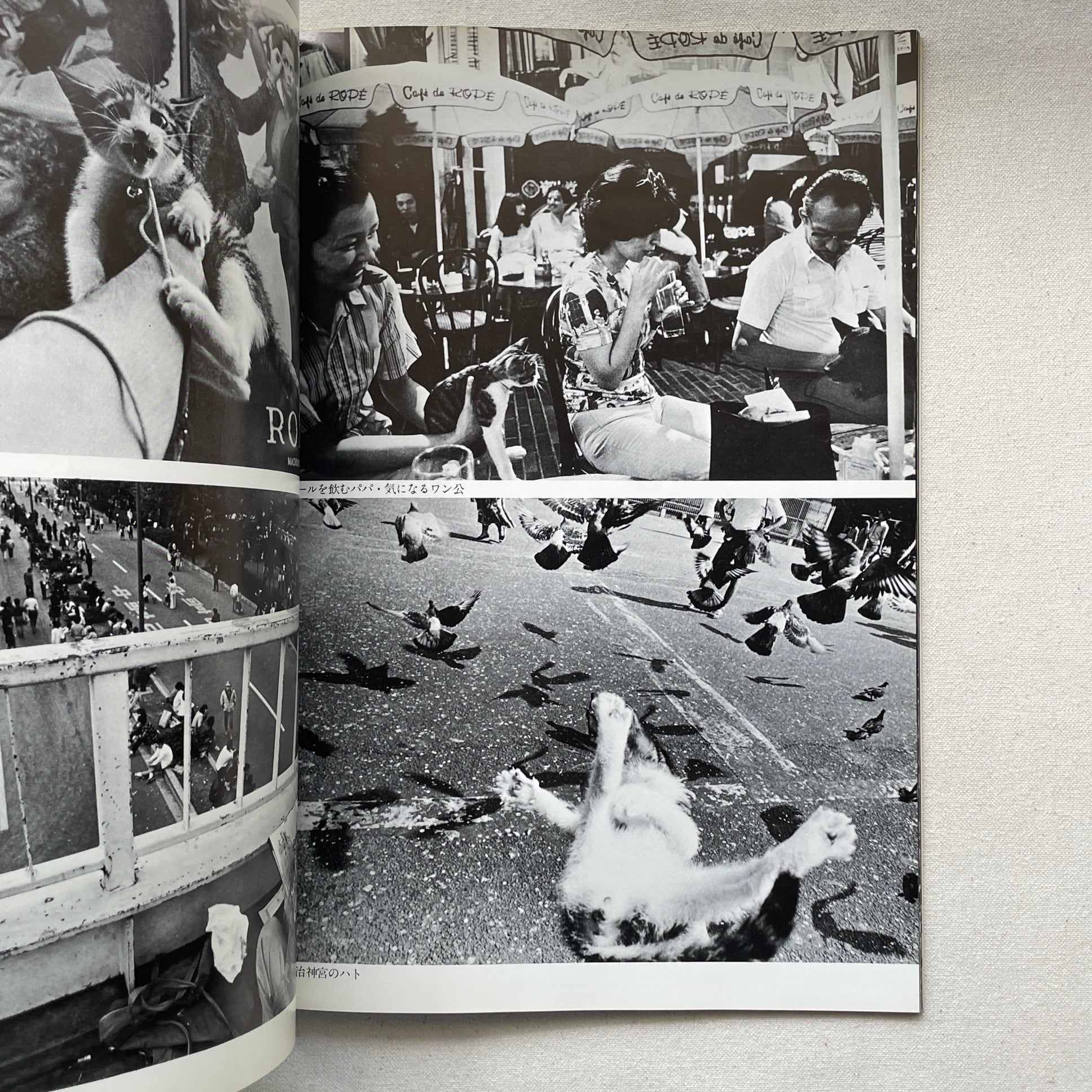 ビバ!サスケ | 深瀬昌久写真集 | 汀線 / TEISEN BOOKS