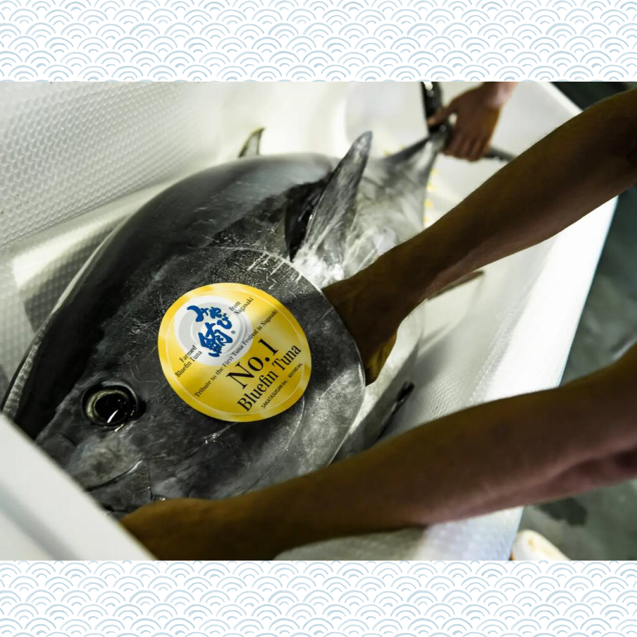 赤身と粗挽きたたき計400g