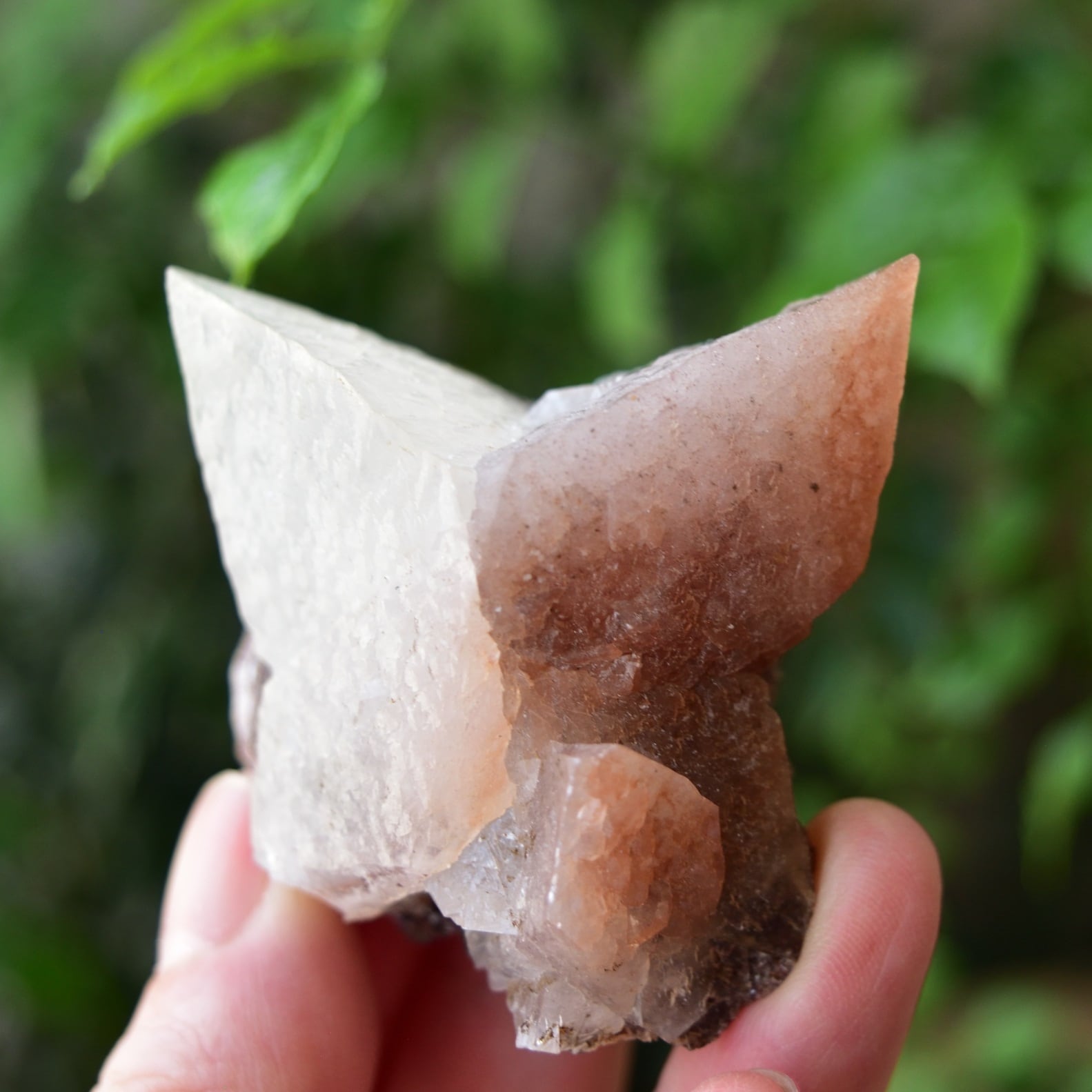 729bea5fcbd230f4c581993ae11b54