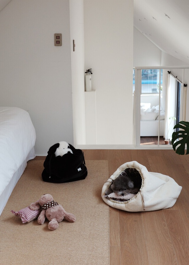 〈 予約アイテム 〉OHDIBS / Snuggle Room – Cream