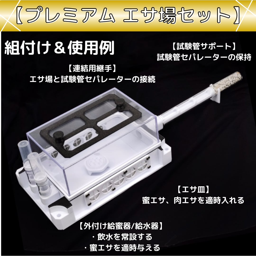 ☆【一美堂】☆書道具☆銘石☆龍の細工☆『硯石』☆雲 龍 珠☆名品