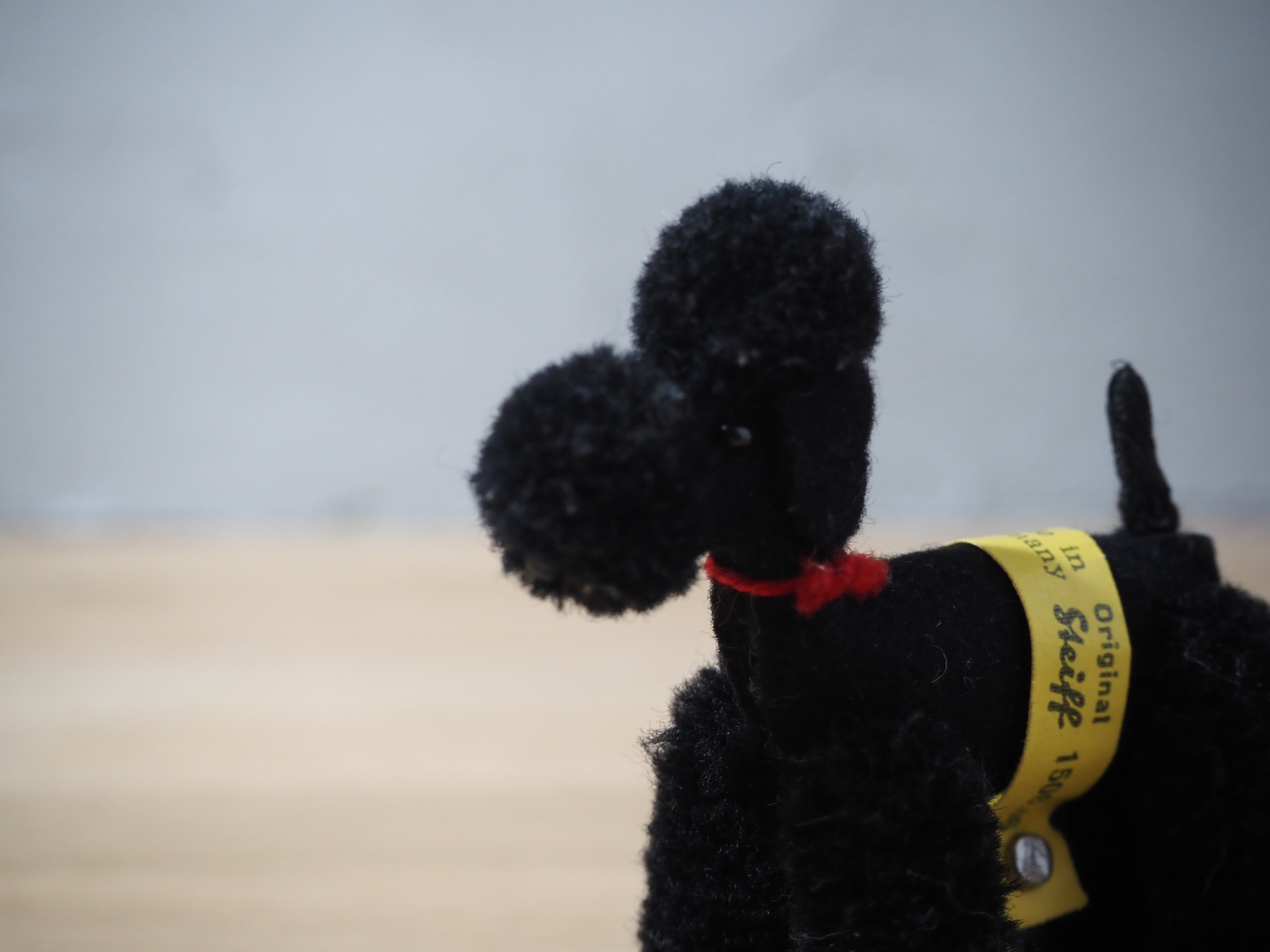 オールド シュタイフ プードル Steiff Woolen Poodle black