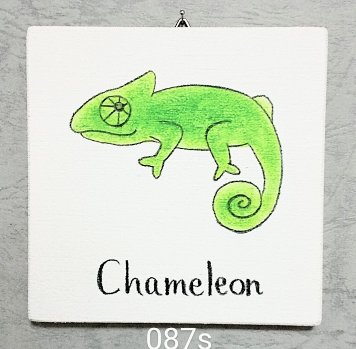 087s カメレオン chameleon 英語 単語 教育 インテリア 子供 学校 