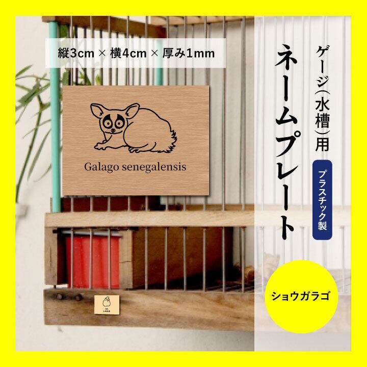 フクロモモンガ　オーダーページ ゲージ・水槽用ネームプレート ☆フクロモモンガのイラスト入り