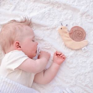 Snail with Crinckle_93208
