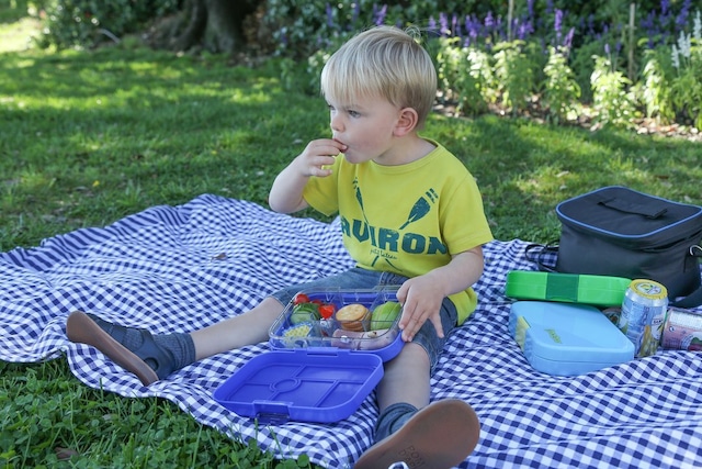 Yumbox (ヤムボックス）leakproof お弁当箱 660ml Original (Mサイズ)  - ブルー- 宇宙