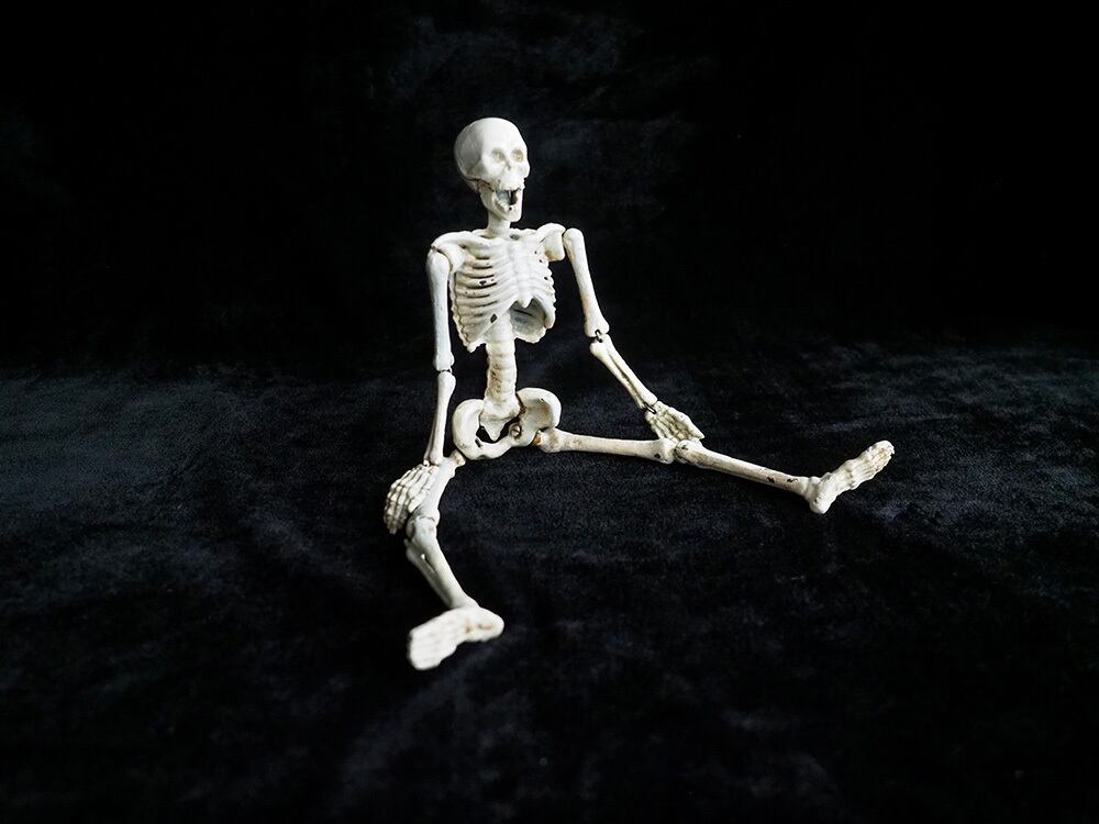 n°44 スカル　オブジェ スカル・オブジェ | antique Salon