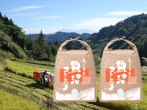令和５年産米 魚沼コシヒカリ 特別栽培米 精米 5kg×2