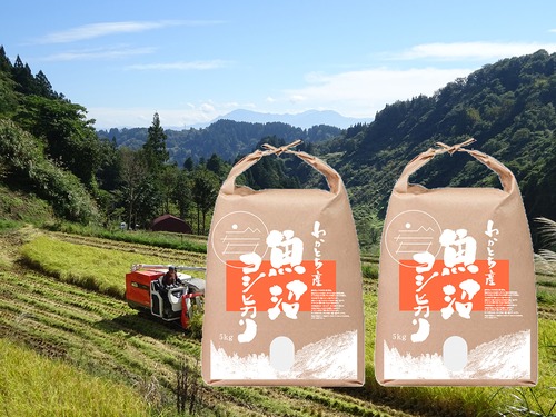 令和５年産米 魚沼コシヒカリ 特別栽培米 精米 5kg×2