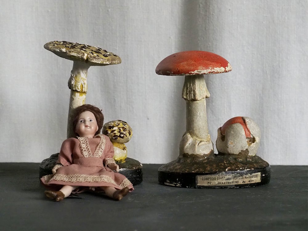 フランス　きのこ　模型　ビンテージ　実験　レトロ　石膏 フランスきのこ模型ビンテージ実験レトロ石膏