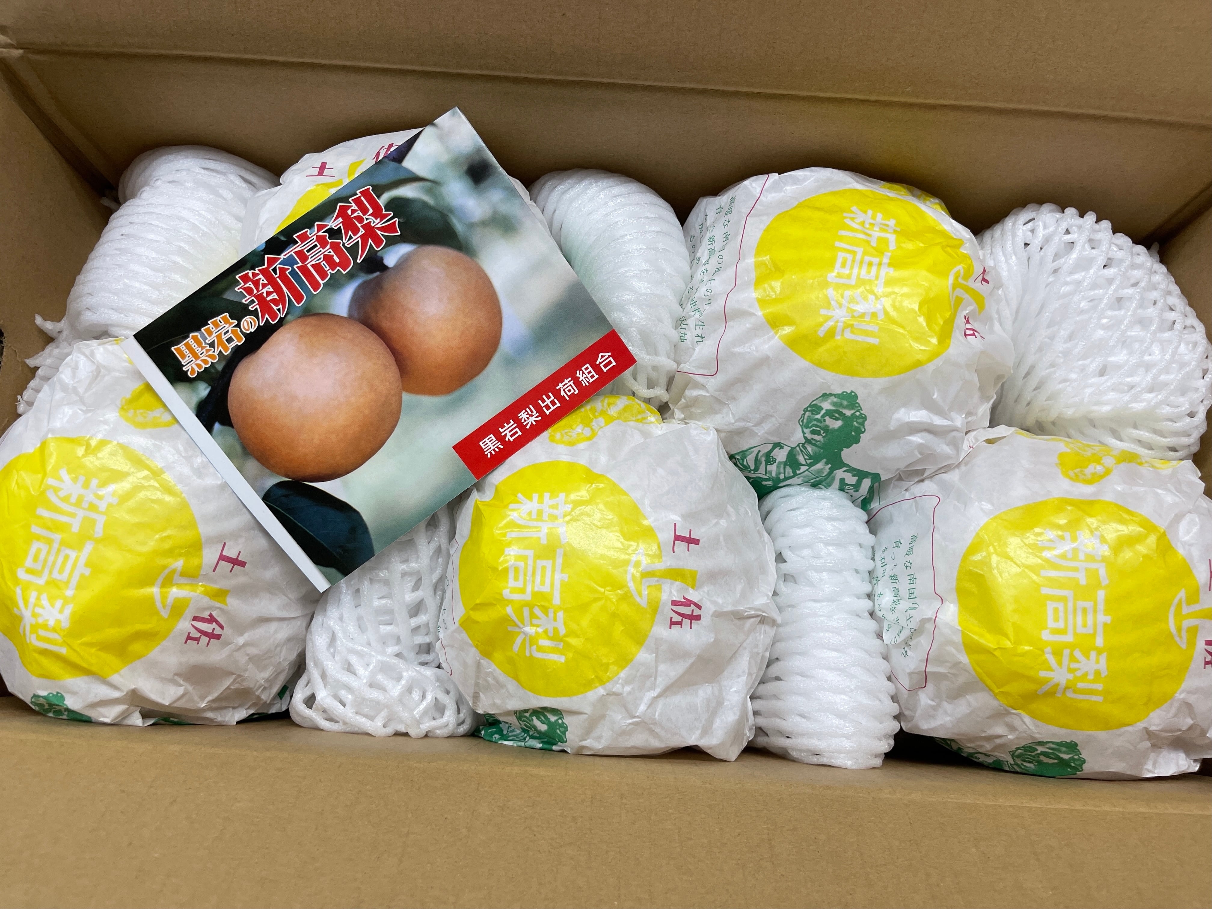高知特産 温室土佐文旦 ハウス 土佐文旦 文旦 3kg×4箱 温室土佐文旦 秀品 6個入り 約3kg ハウス栽培 化粧箱入り | kochi808