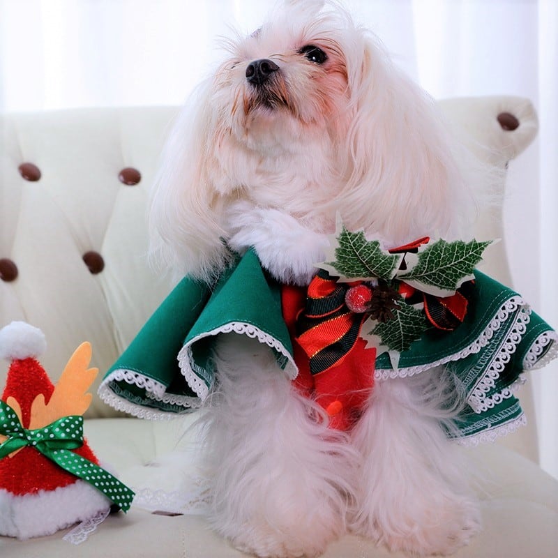 大型犬もOK クリスマスのケープ風シャツと帽子のセット