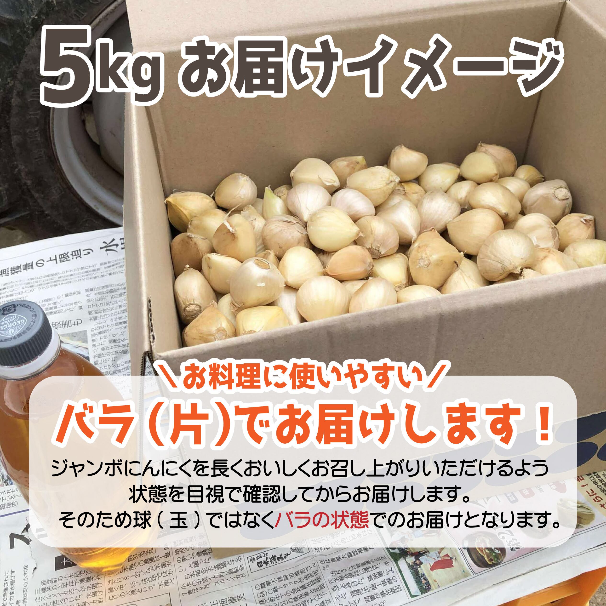 和気のジャンボニンニク【大容量5キロセット】大きな物で通常の