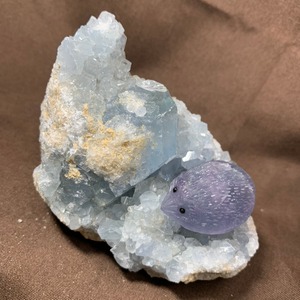 2セレスタイトに住み着いているフローライトハリネズミさん