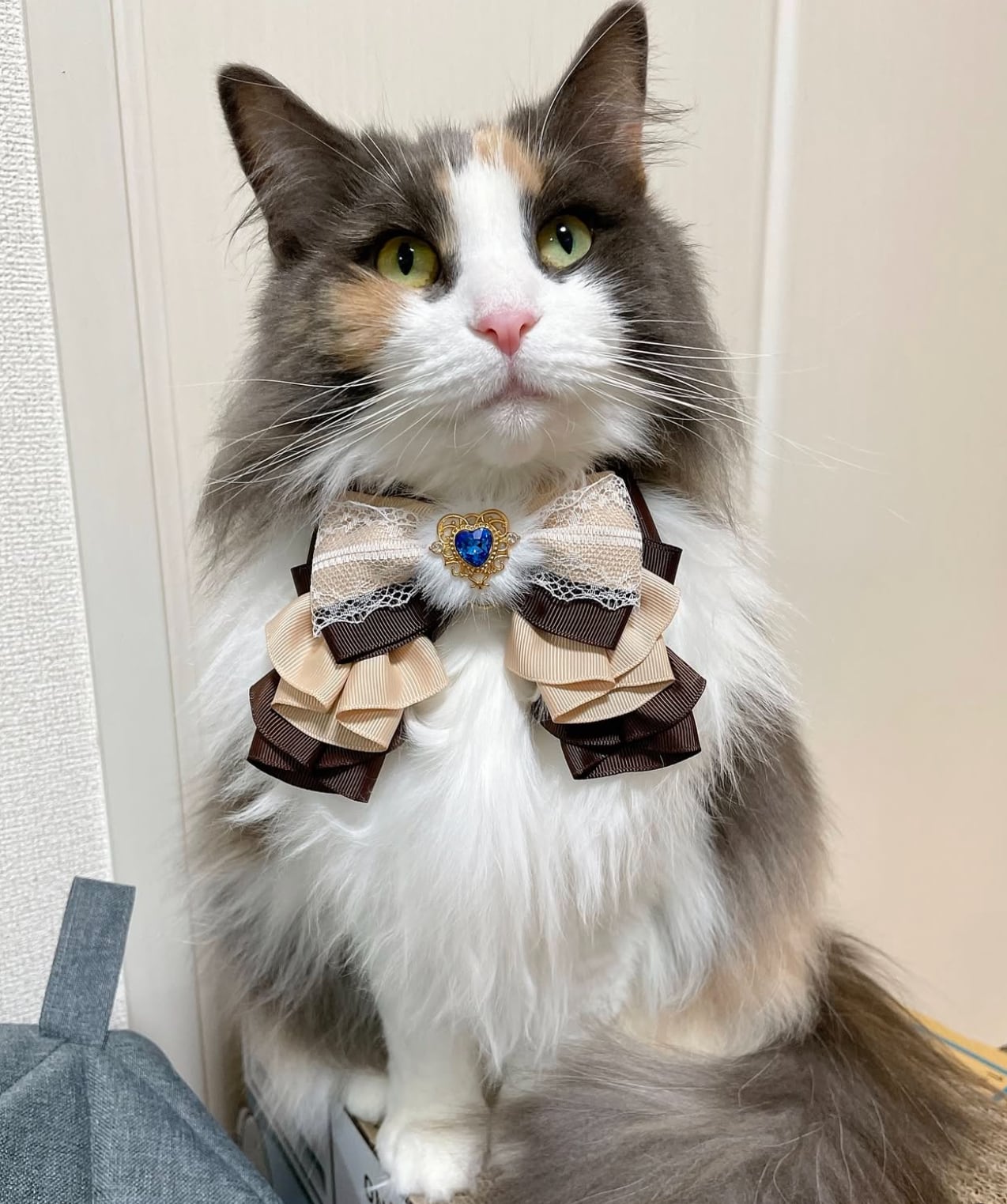 ハートチョーカー】グランデサイズ いちごチョコ 犬猫チョーカー