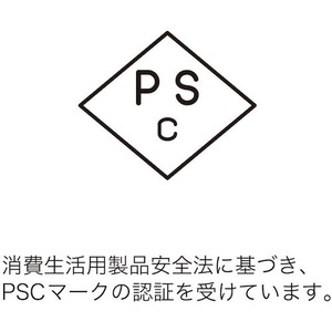 【在庫限り】サンワサプライ グリーンレーザーポインター LP-GL1017G 532nm ペン型