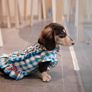 【PET】ブルー系格子柄フリル付きワンピース