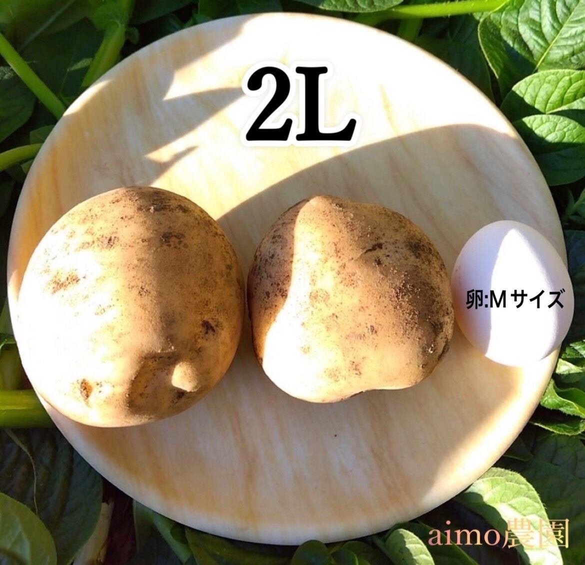 新じゃが M〜2L 2kg｜箱別 | aimo農園