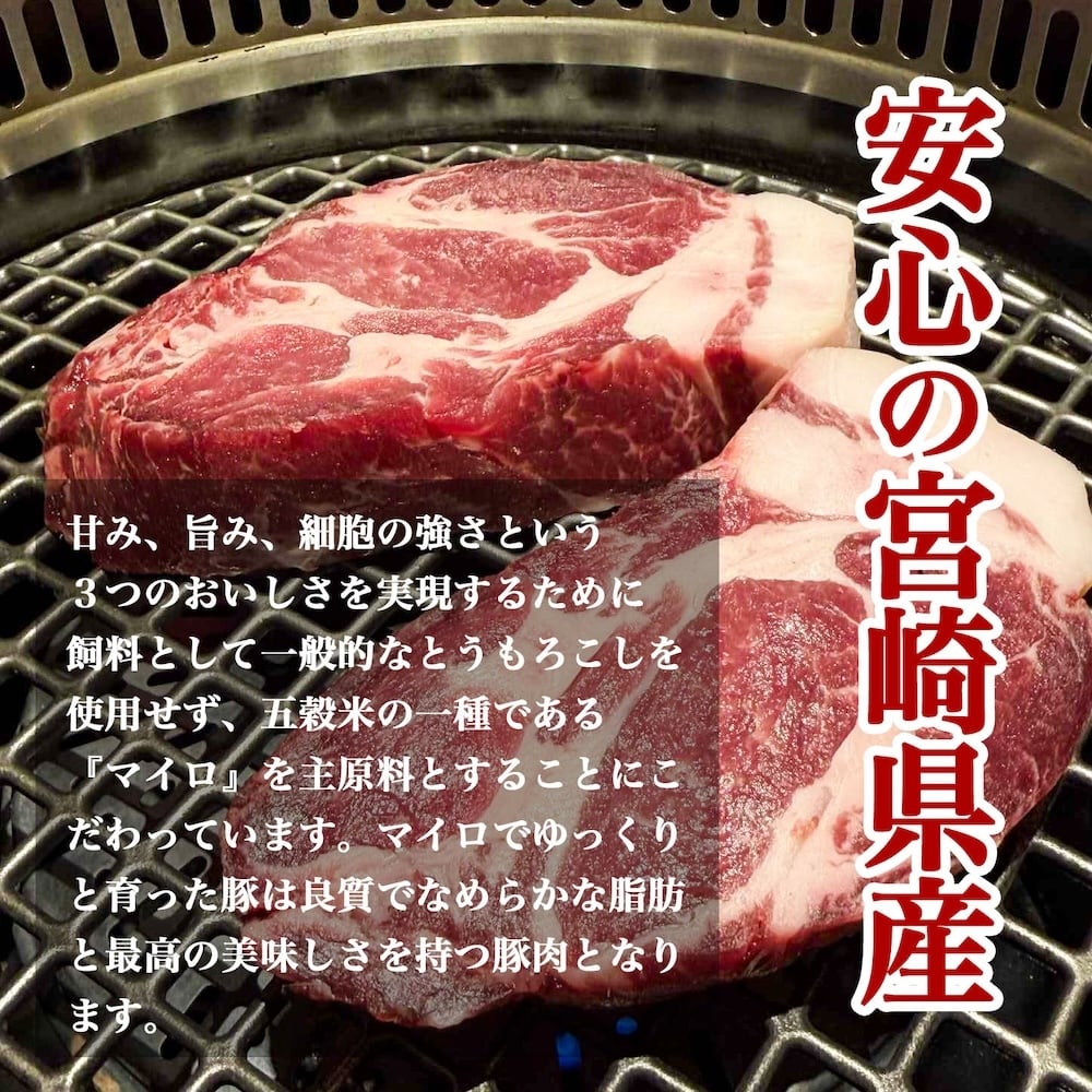 宮崎県産熟成豚カタロース切り落とし 500g×2【鏡山牧場】001-059 | の