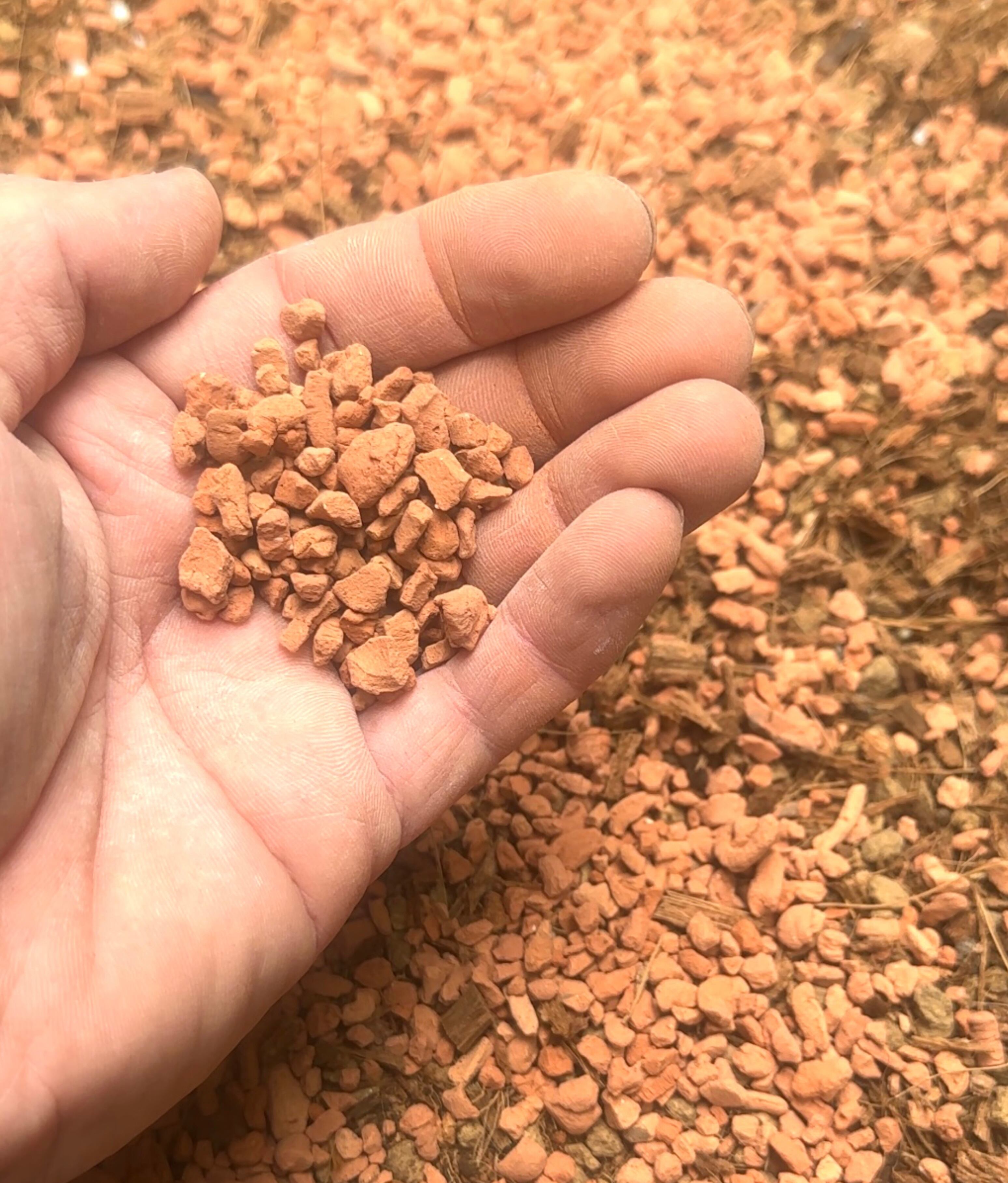 かーで:日本産土壌動物 2巻セット かーで:日本産土壌動物 2巻セット かーで:日本産土壌動物 2