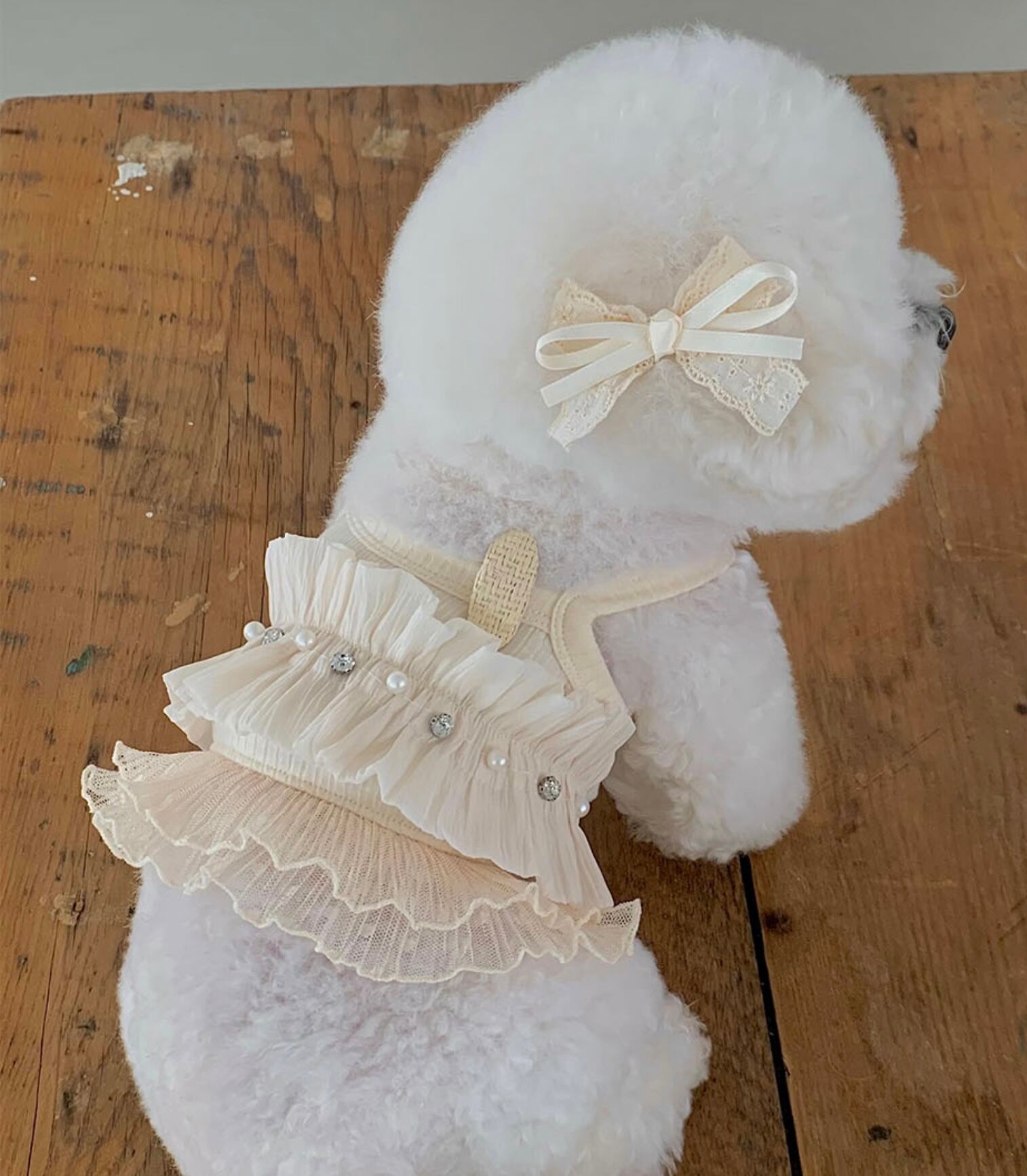 《予約》№SE0003 SoonSu ops