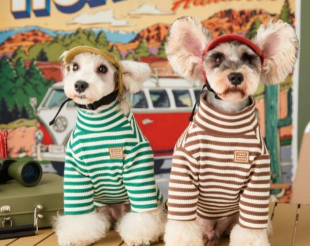 《予約》№1101867 ハイネックボーダーセータートップス