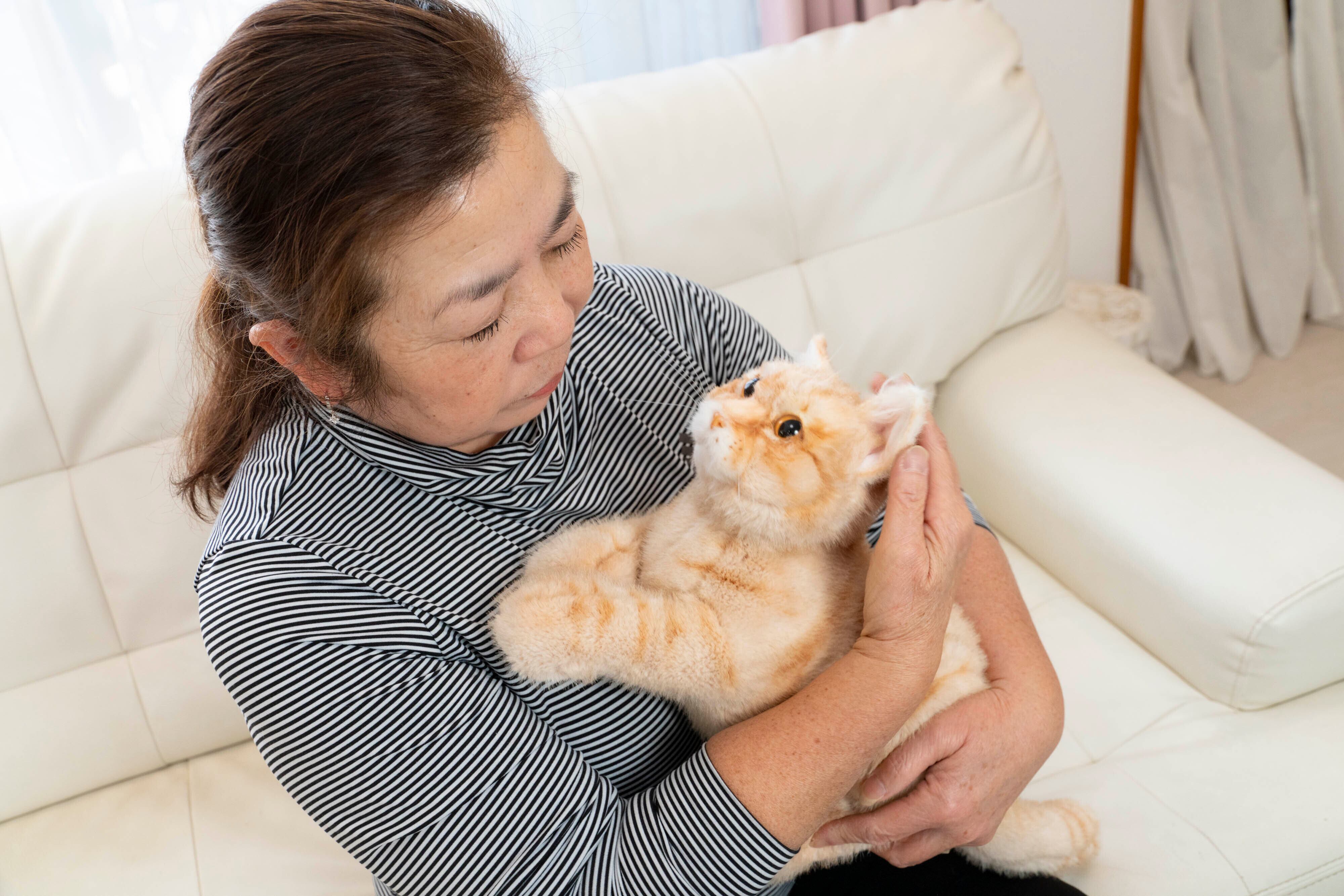 なでなでねこちゃんEX ハチワレ | トレンドマスター