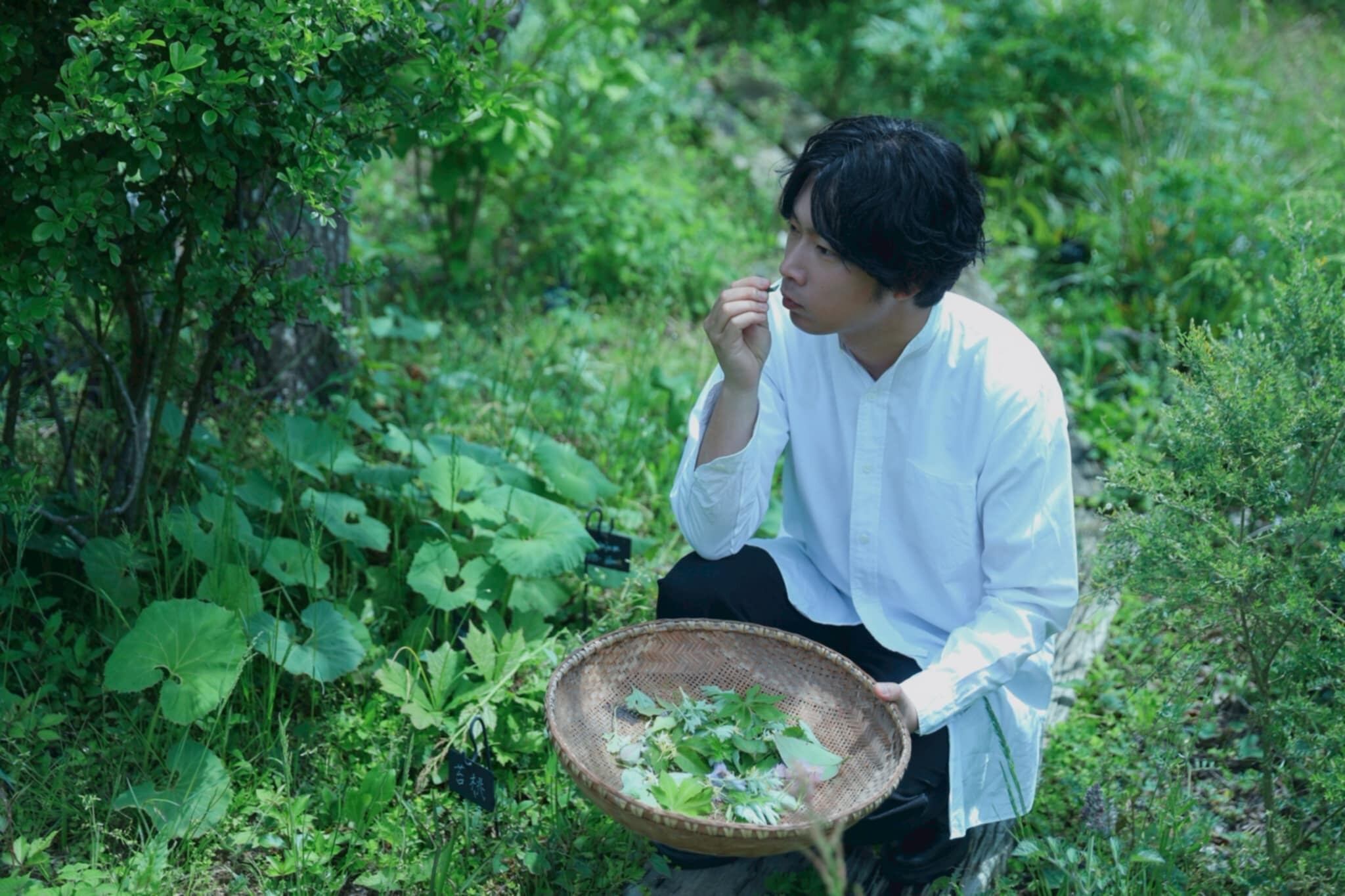 再販】野草研究家・山下智道監修_野草GELATOセット | Hacal ice cream