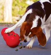 Kong(コング) 犬 おもちゃ コングワブラー コングを使った7つの解決策(噛む 歯固め 分離不安 退屈吠える&掘る クレートトレーニング 体重管理) 知育玩具 しつけ