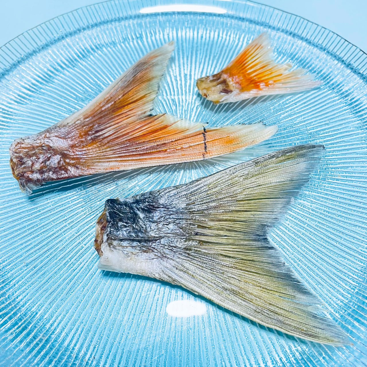 ご褒美テール