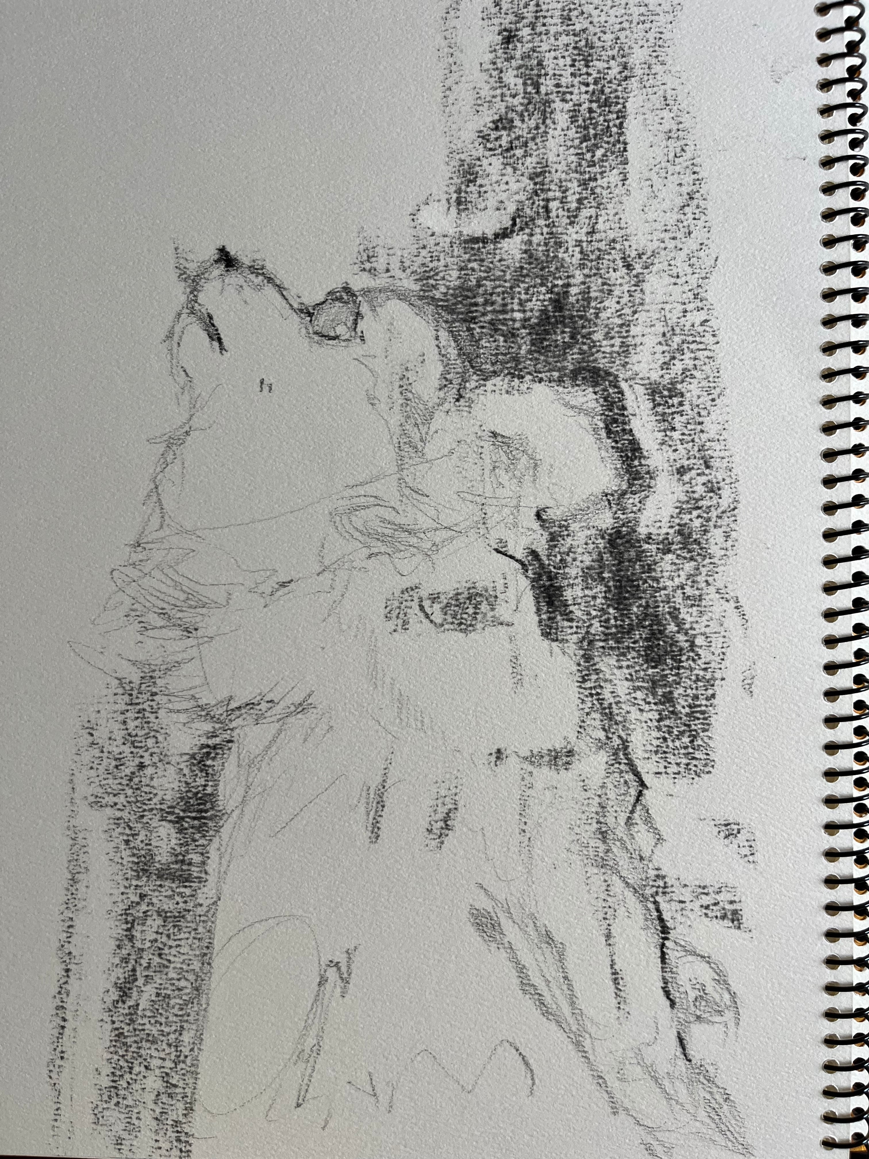 【受注製作アート】─ スケッチ画─