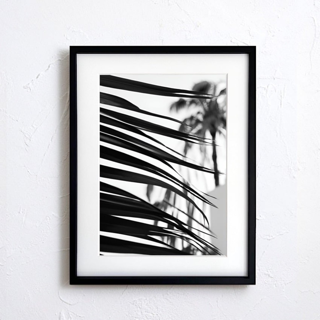 palm leaf｜モノクロで描く大人のパームツリーアートポスター｜西海岸テイストと白黒インテリアに映えるスタイリッシュな一枚A3ポスター