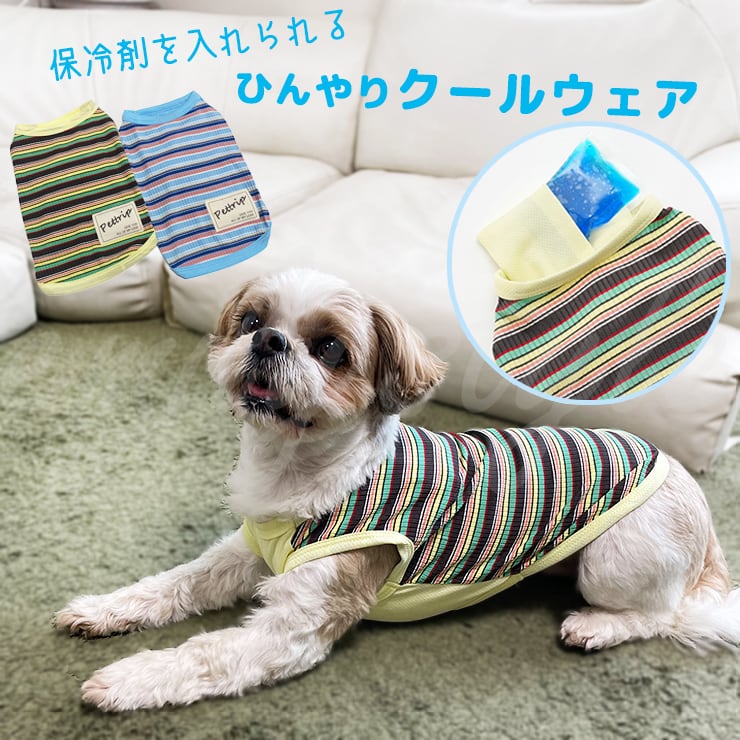 犬服冬用　ボーダー柄黒2枚＋青＋赤