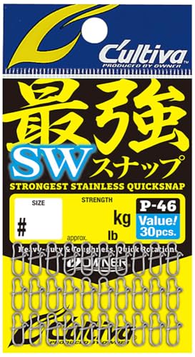 マカリスタXパインビーチ クラシックバギーボディ ワイルドキャット2