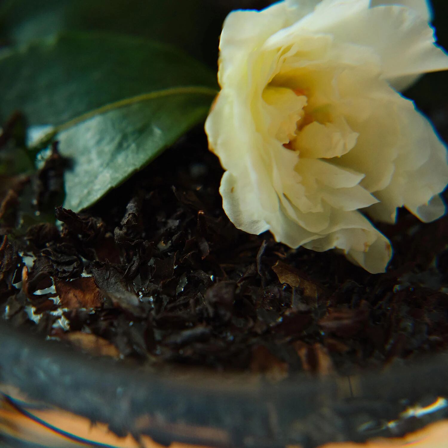 Foglie di Te】フォリエ ディ テ シャワージェル 250ml｜レルボラリオ