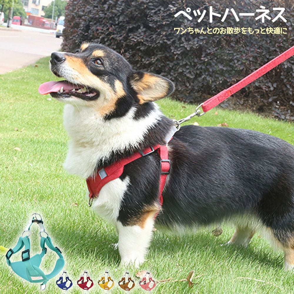 【3点は新品】犬 快適 セット 犬とお出かけ