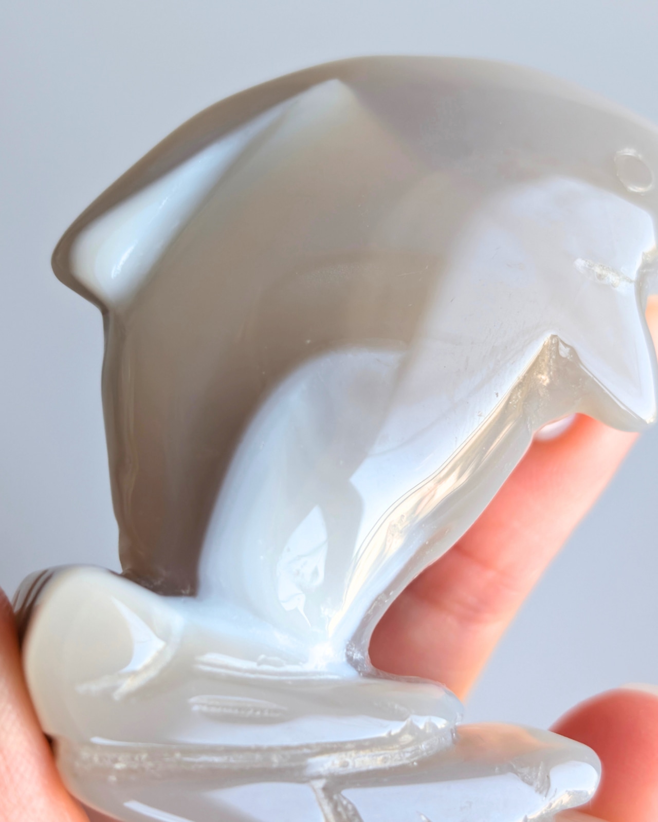 Druzy Agate ドゥルジーアゲート ⭓ イルカ ⭔ CARVING