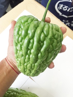 沖縄島野菜種子「ハートゴーヤ種子１００粒」