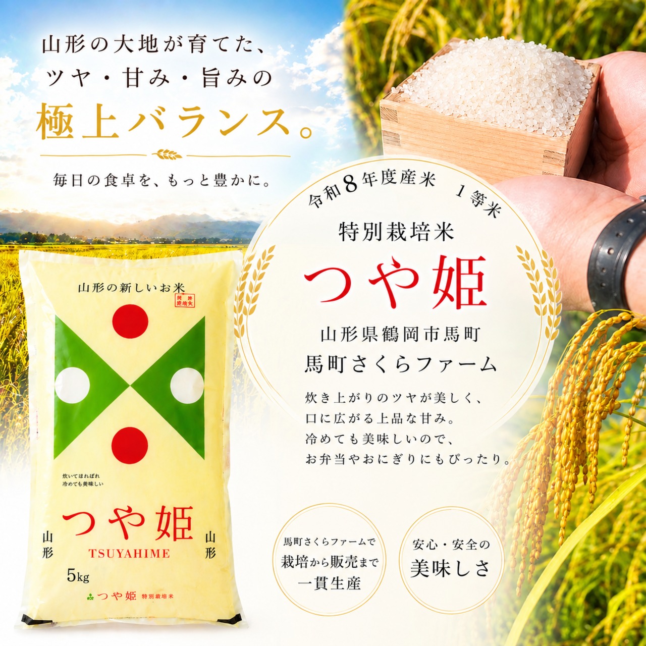 山形県鶴岡産 令和8年度産米 1等米 特別栽培米つや姫 【無洗米】5