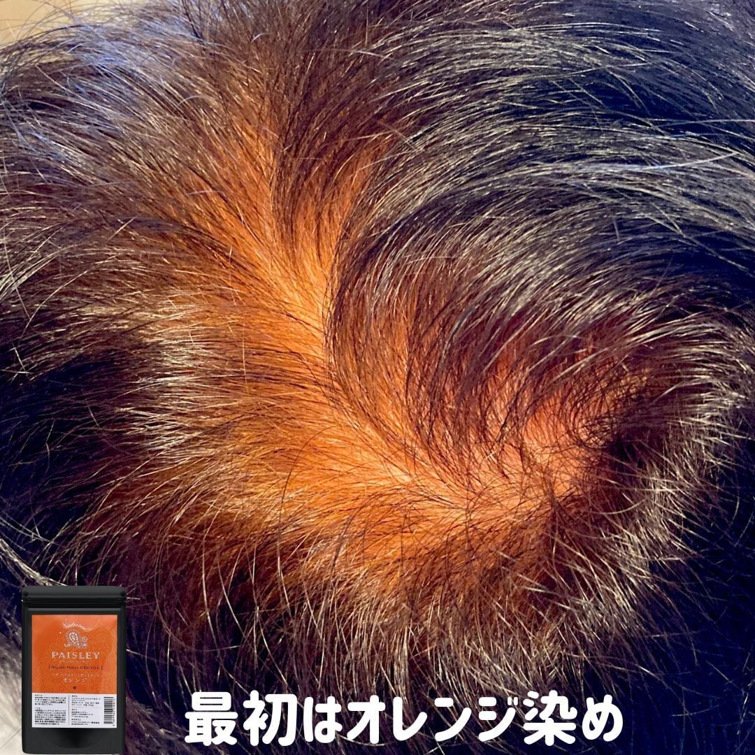 きらり品【最高AAAランク高品質ヘナ】ペイズリーオレンジ＆ブラウンセット ペイズリーヘナシリーズ【オレンジ】PureHenna | ペイズリーヘナ【AAA
