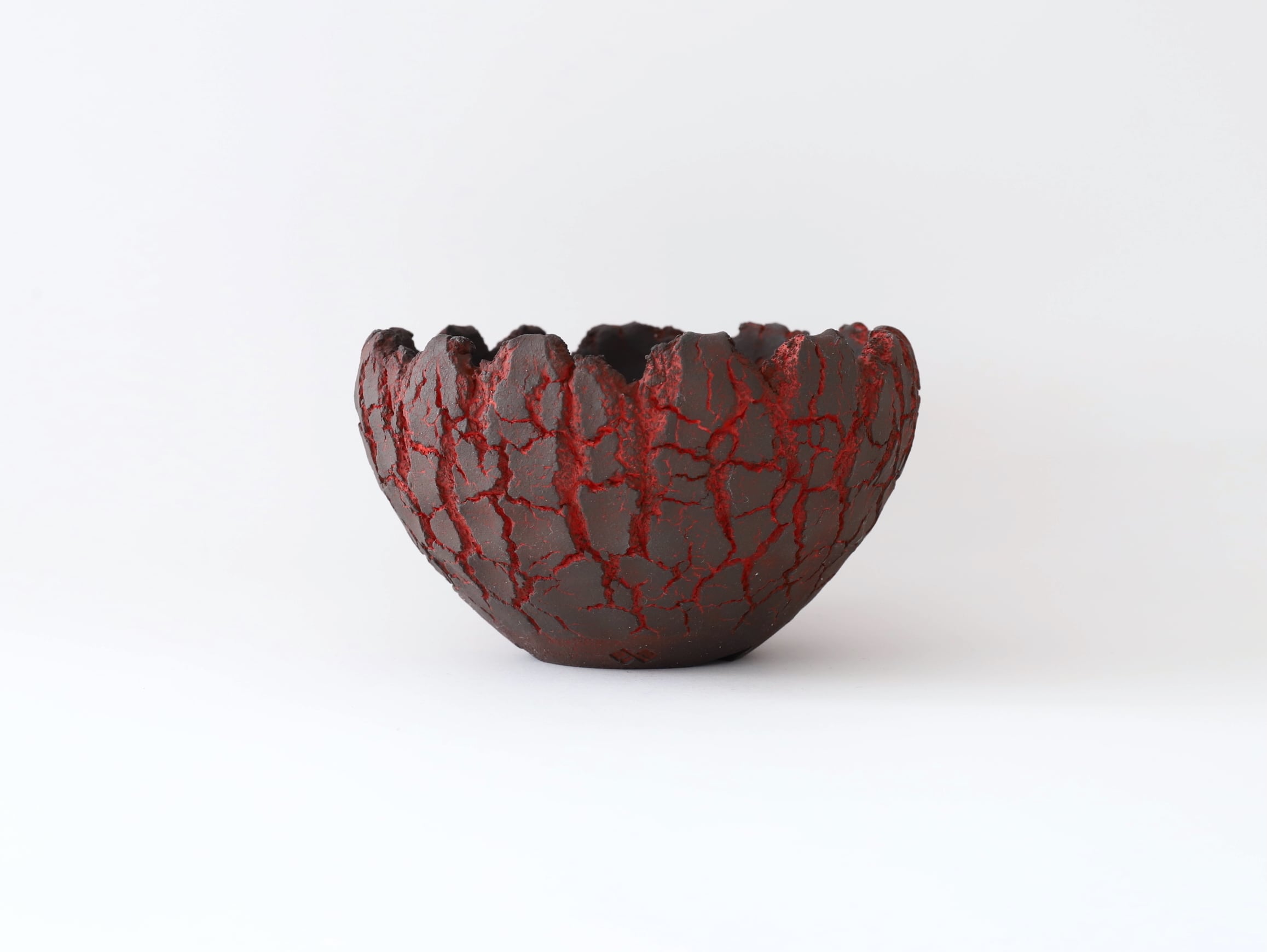 セキグチ タカヒト | Galerie NUAGE