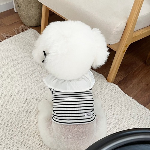【予約】［Little  Heart］April button stripe（Tシャツ）
