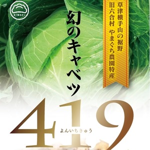 「幻のキャベツ419餃子」20個入【冷凍】