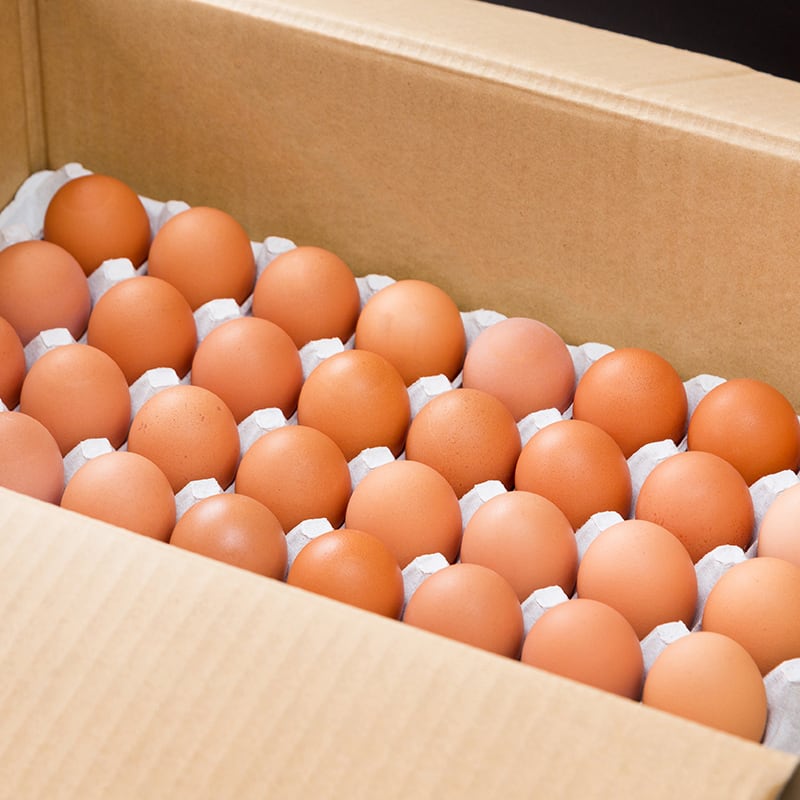 送料込み】まとめ買い・那珂川の金太郎たまご（120個入り） | 有限会社