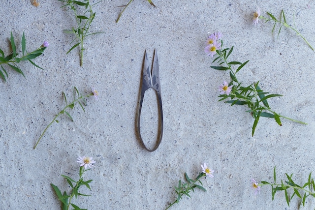 TAjiKA iron HERB SHEARS