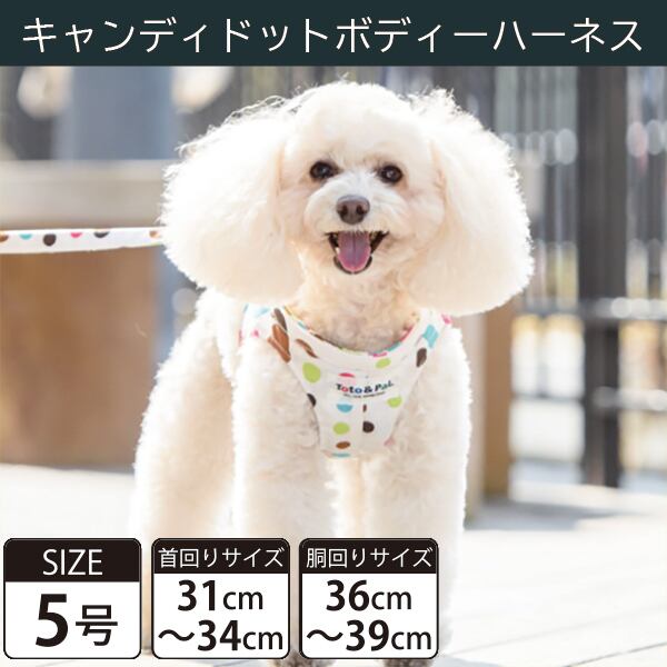 Toto&Pal(トトパル) ボディーハーネス・キャンディドット(5号)