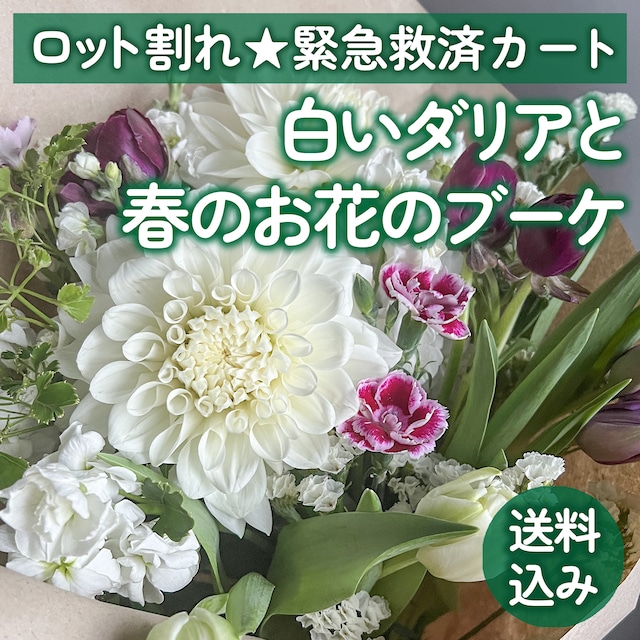 フラワーロス救済ありがとうございます。★送料込み★白いダリアと春のお花のブーケ〈数量限定☆ロット割れ救済カート〉ロスフラワー救済