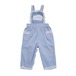 Vintage | Cat Corduroy Overall